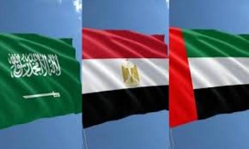 MENA E-commerce Market Projected to Reach $50 Billion by 2025 MENA E-commerce Market Projected to Reach $50 Billion by 2025